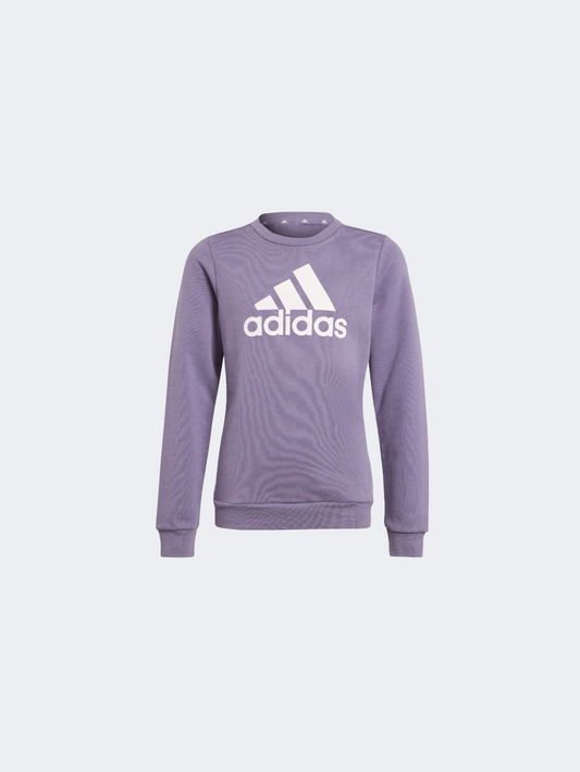 Adidas Essentials Big Logo Kids-Girls Sportswear Sweatshirt Shadow Violet/Pink
