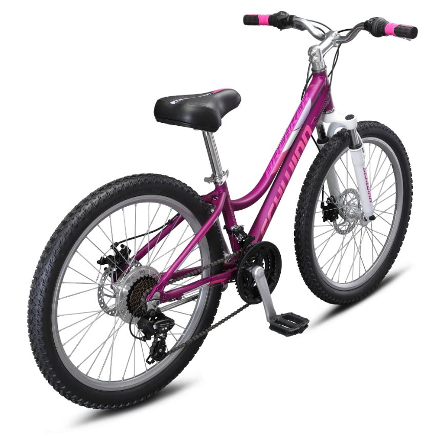 Schwinn ranger 24 sales purple