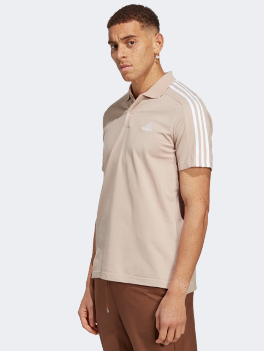 Ic9313-M 3S Pq Ps Wontau/White