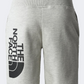 The North Face  Boys Lifestyle Short Grey