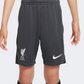 Nike Liverpool Fc Academy Boys Football Short Anthracite White