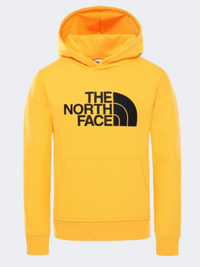 هودي لايف ستايل رجالي The North Face Drew Peak Po ذهبي سميت