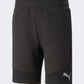 Puma Evostripe Men Lifestyle Short Black