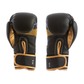 Fitness Factory Boxing Gloves Black/Gold