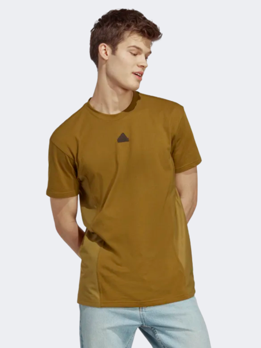 IC9725 M Ce T Brostr