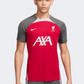 Nike Liverpool Fc Strike Men Football T-Shirt Red/Anthracite/Grey