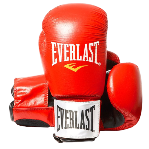 Everlast Accessories Evh1100 Red/Black10 Oz Leather Boxing Glove Fighte Red /Black