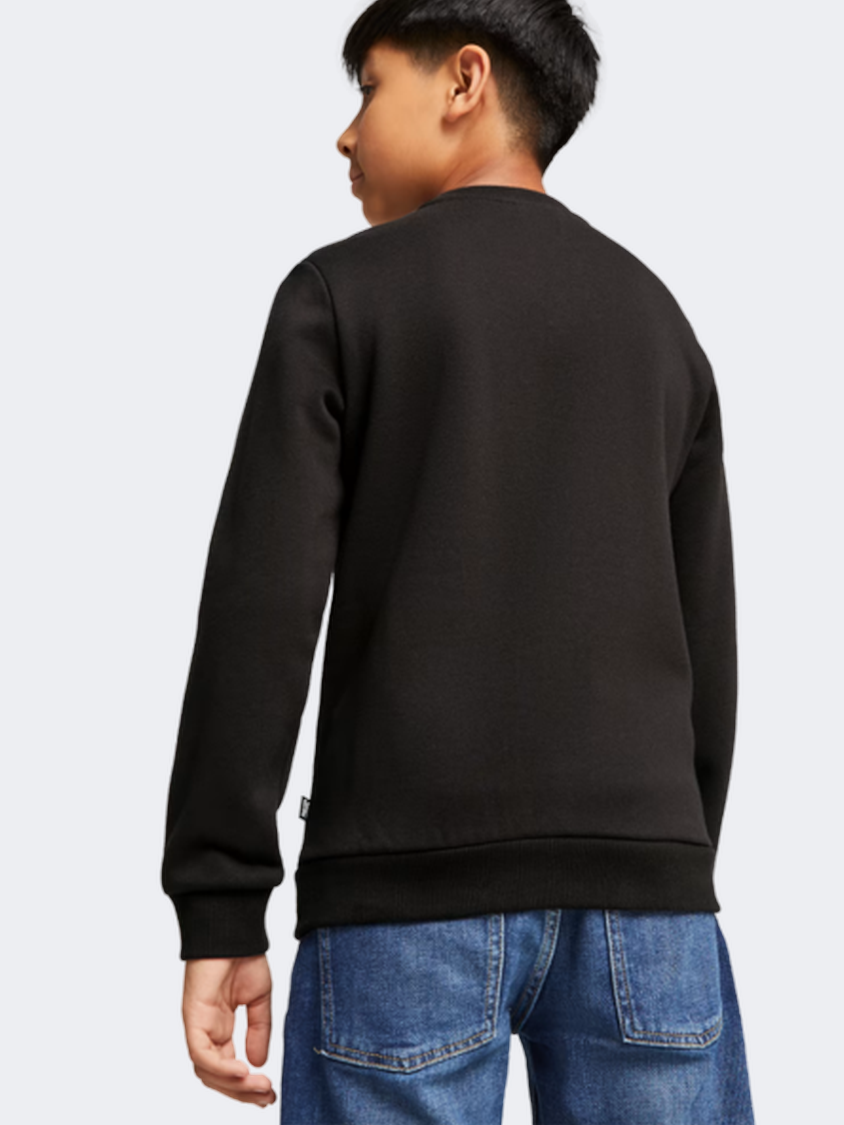 Puma Essentials+ 2 Logo Boys Lifestyle Sweatshirt Black/Malachite