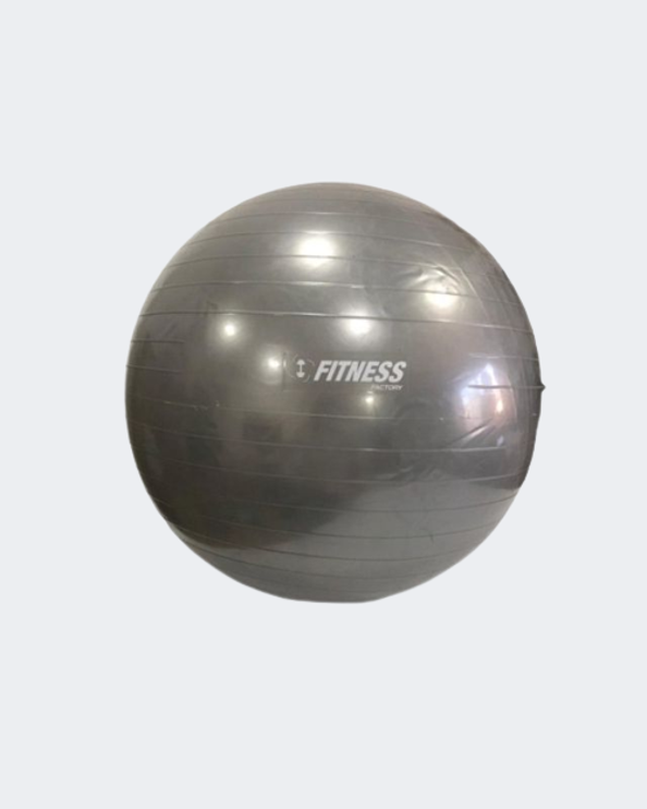IRM-Fitness Factory 75 Cm Fitness Gym Ball Silver Gb-001
