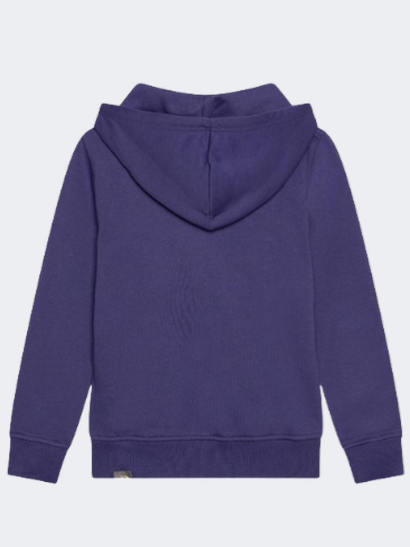 The North Face Drew Peak Boys Lifestyle Hoody Cave Blue