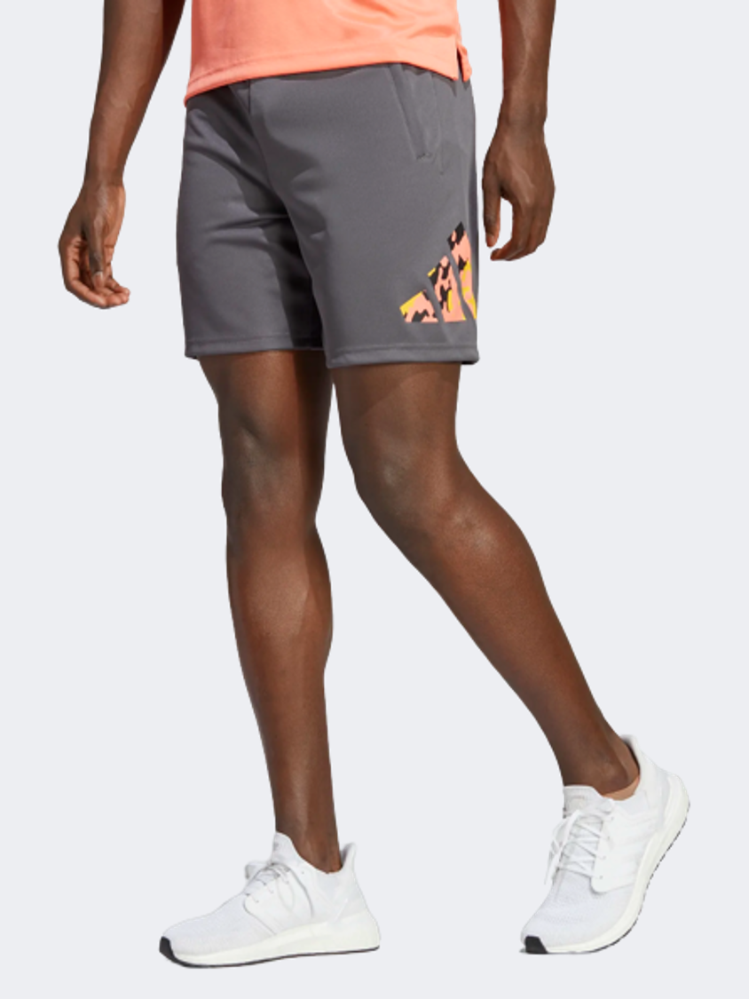 Ib8175-Tr-Es+ Bl Short Grefiv/Black