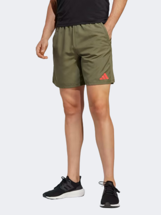 Ib8177-Tr-Es+ Wv+ Sho Olistr/Brired