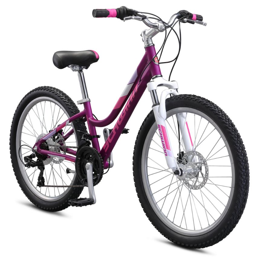 Schwinn girls bike discount 24