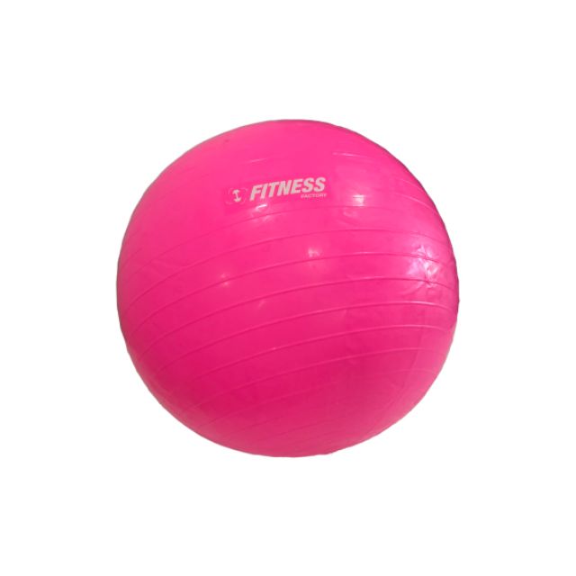 Irm-Fitness Factory Gym Ball Dia:55Cm,700G Pink Gb-001