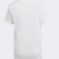 Adidas Essentials Aeroready Kids-Boys Sportswear T-Shirt White / Semi Aqua