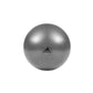 Adidas Accessories Gymball  FITNESS Gym Ball Grey