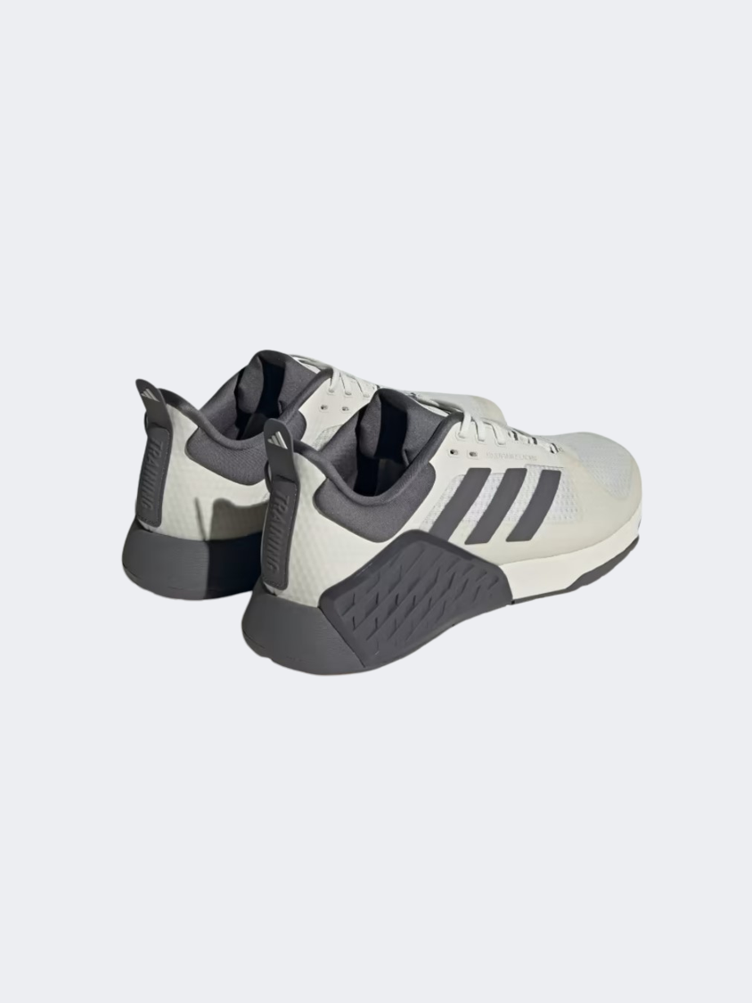 Adidas Dropset 2 Men Training Shoes Orbit Grey