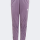 Adidas Essentials 3 Stripes Little Girls Sportswear Suit Clear Pink/Violet