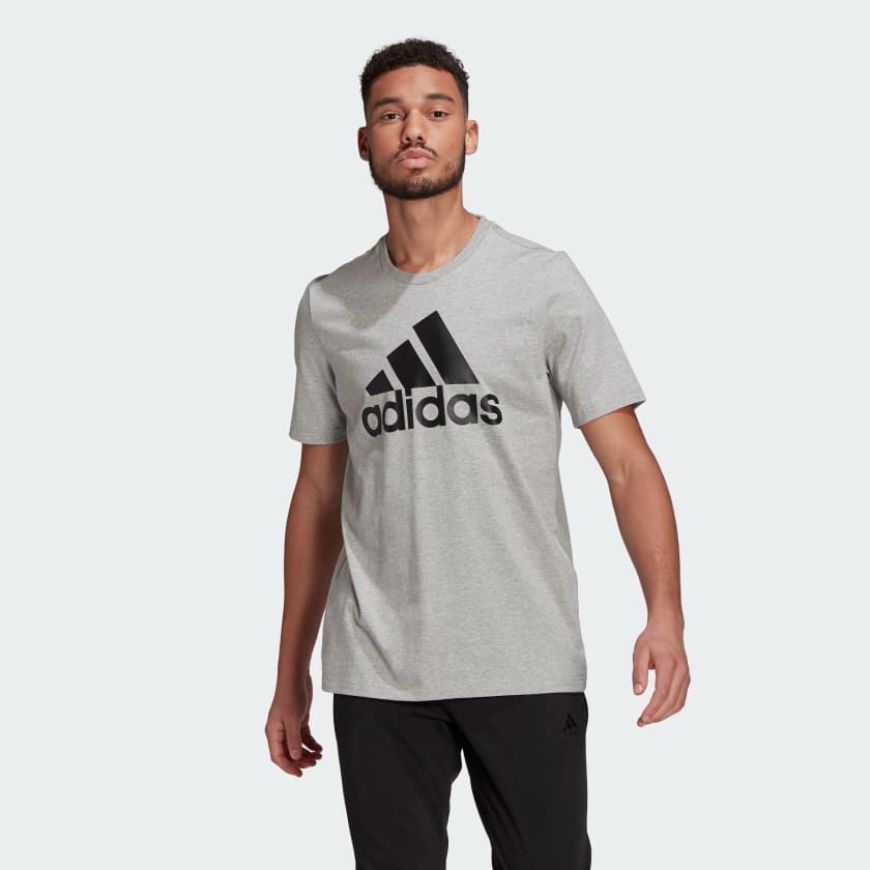 Adidas Essentials Big Logo Men Lifestyle Pant Grey/Black